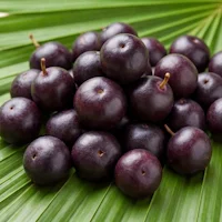 Extracto de bayas de acai