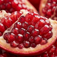 Fibra dietética